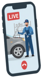 Live Inspection Phone